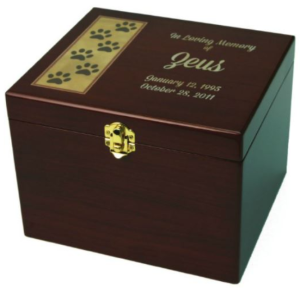 Paw Print Memory Chest